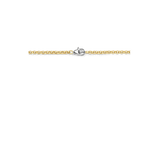 Basic Box Chain Necklace
