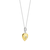Heart Necklace with pendant