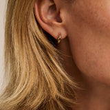 Classic Small Hoops Gold 14mm