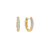 TI SENTO Earrings 7759ZY