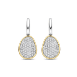 Drop Earrings with Luxury stone