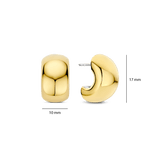 Bold Gold Vermeil Earrings