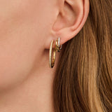 Zirconia Layered Hoops