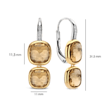 Double Cushion Earrings Yellow