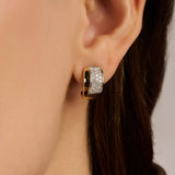 Contrast Twisted Zirconia Earrings