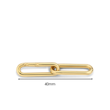Signature Chain Extension