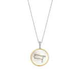 Zodiac Necklace with pendant - Gemini
