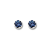 TI SENTO - Milano Earrings 7271DB