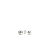 TI SENTO Earrings 7748GG