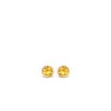 TI SENTO Earrings 7748TY