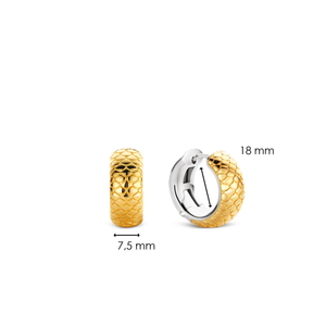 TI SENTO Earrings 7797SY