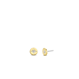 TI SENTO Earrings 7822ZY