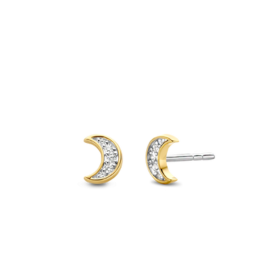 TI SENTO - Milano Earrings 7862ZY