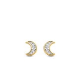 TI SENTO Earrings 7862ZY