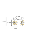 Star Pearl Earcharms